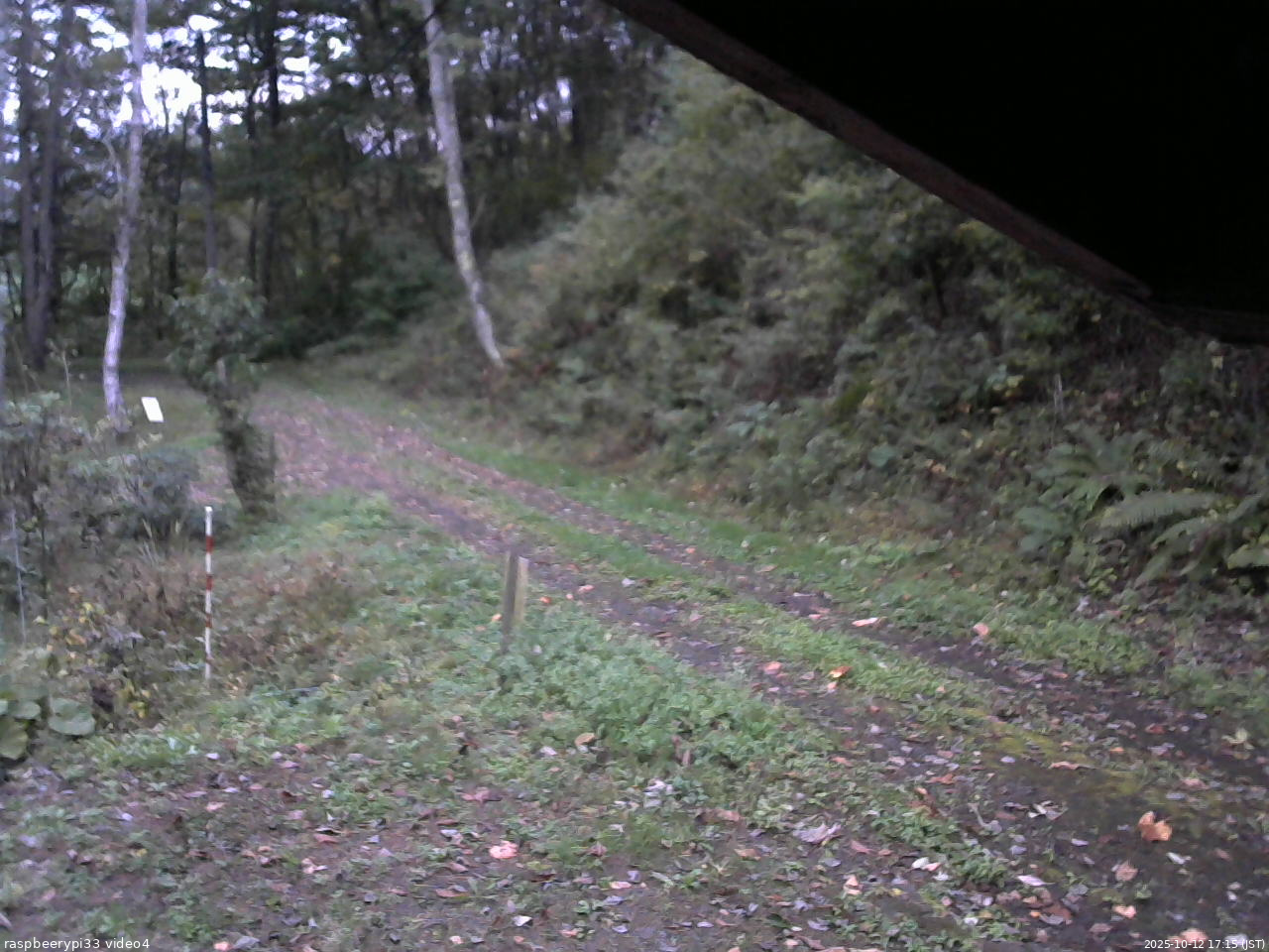 長野県菅平高原 ゆたか山荘 東側(坂下) 2025/10/12 17:15