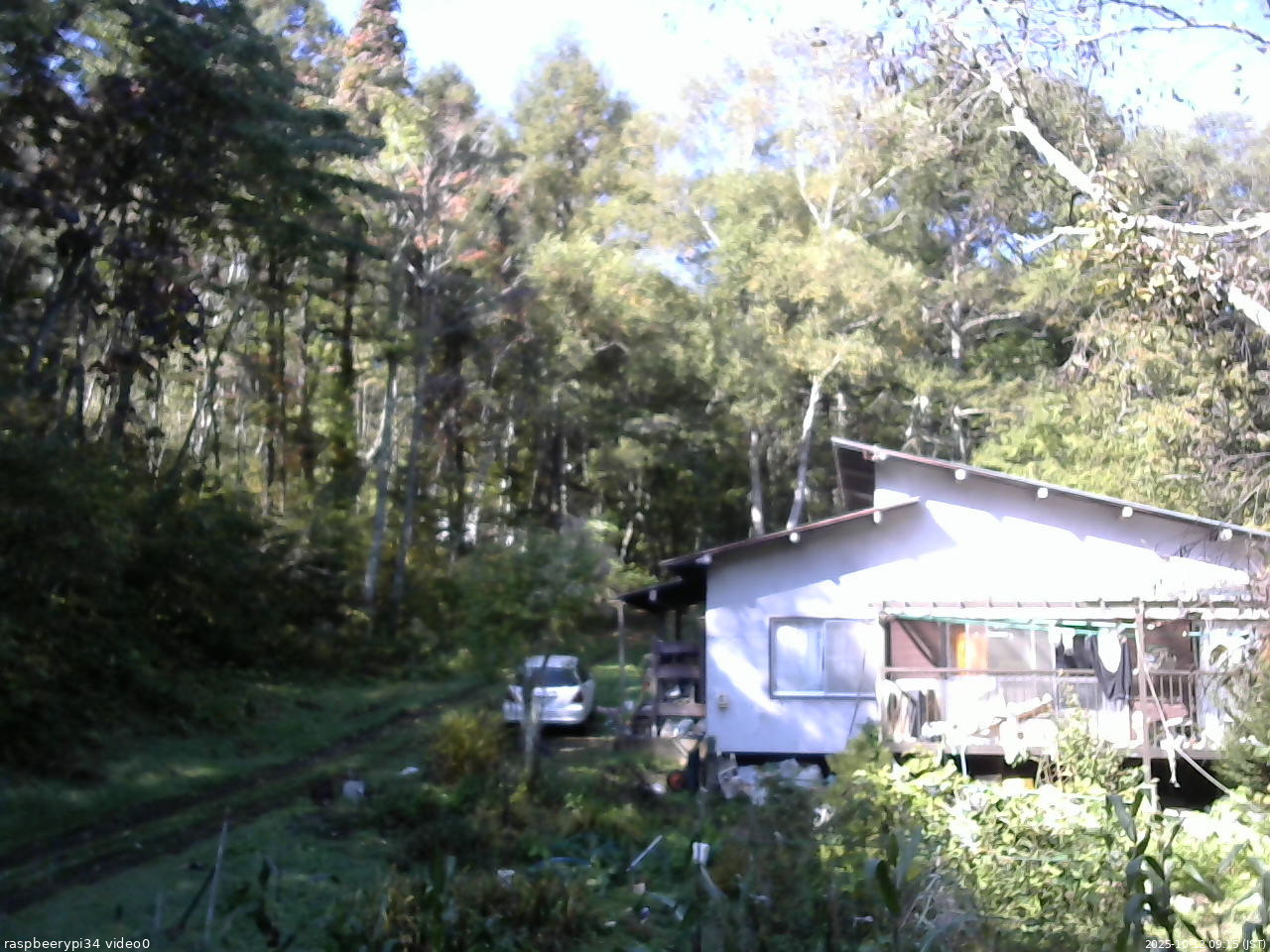 長野県菅平高原 ゆたか山荘 西側(坂上) 2025/10/12 09:15