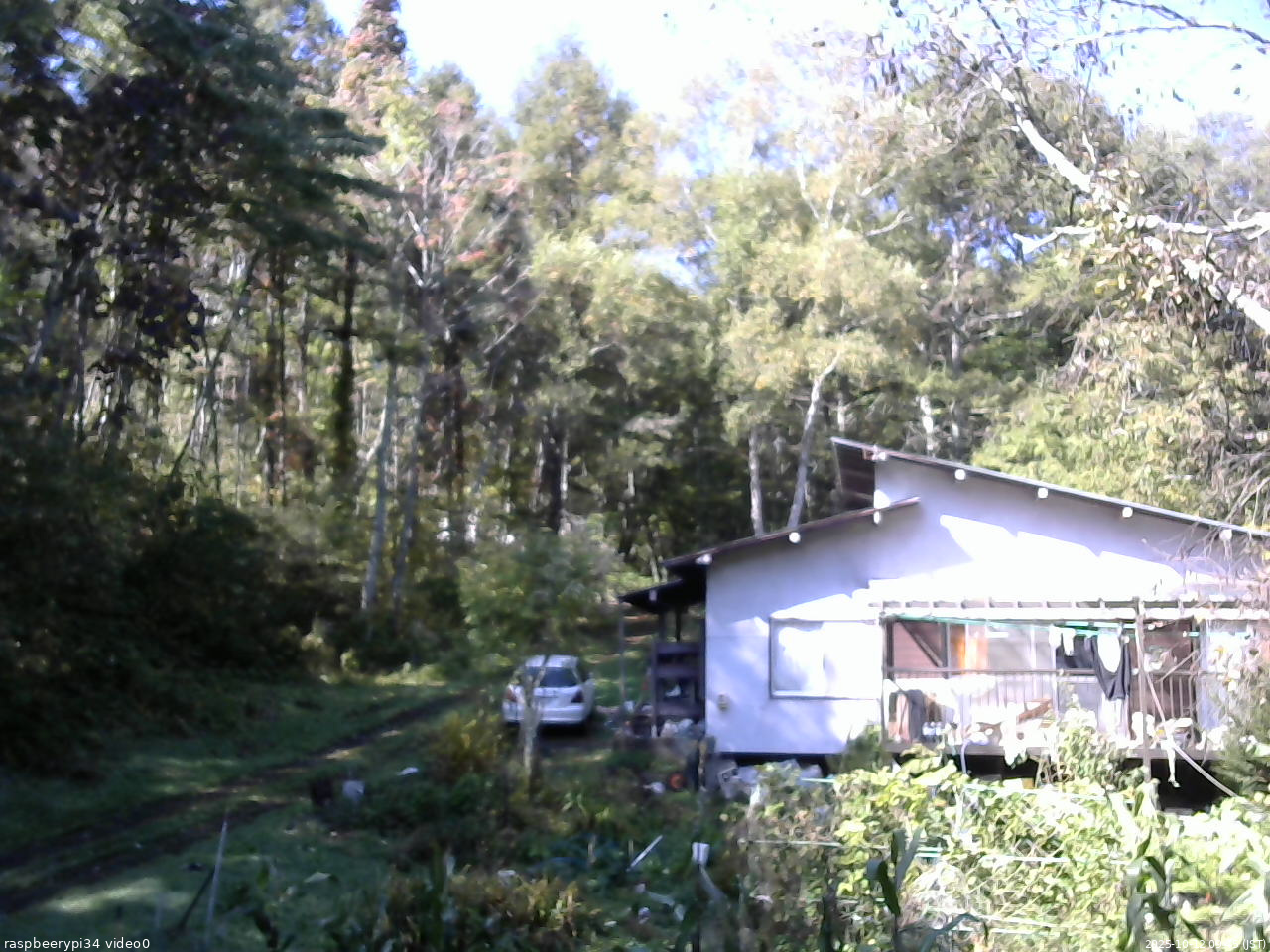 長野県菅平高原 ゆたか山荘 西側(坂上) 2025/10/12 09:45