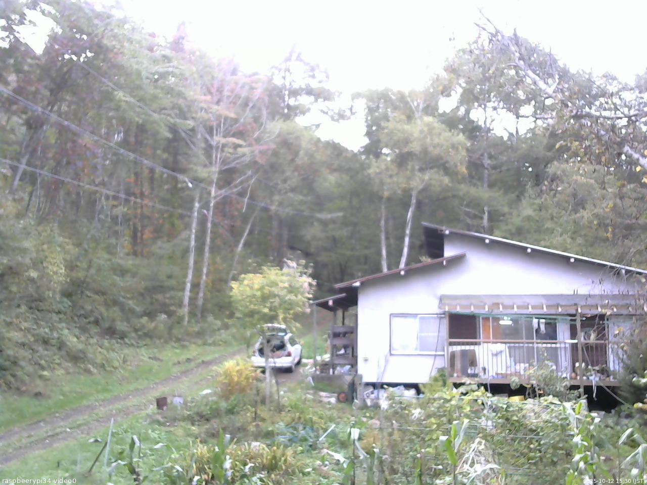 長野県菅平高原 ゆたか山荘 西側(坂上) 2025/10/12 15:30