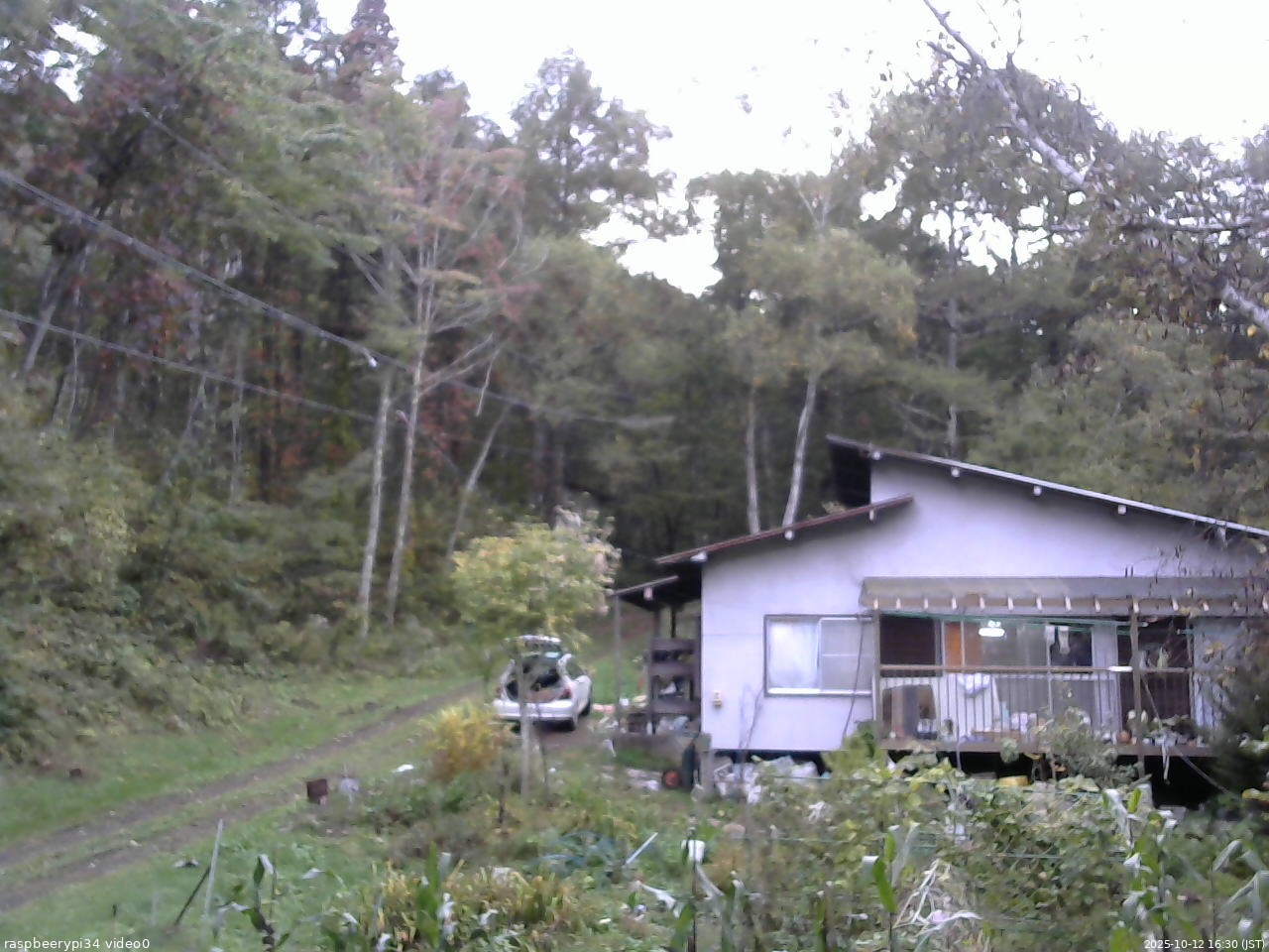 長野県菅平高原 ゆたか山荘 西側(坂上) 2025/10/12 16:30