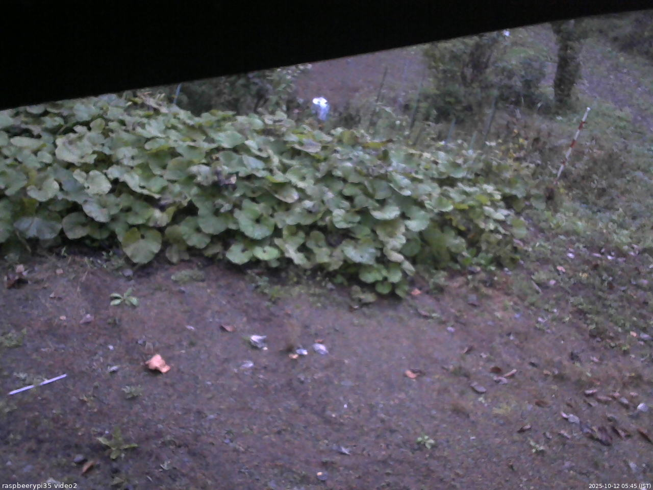 長野県菅平高原 ゆたか山荘 駐車場 2025/10/12 05:45