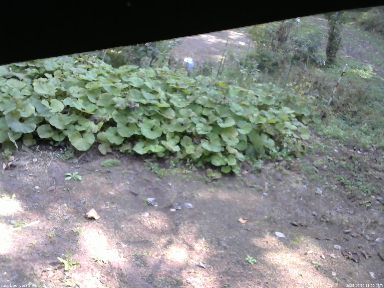 長野県菅平高原 ゆたか山荘 駐車場 2025/10/12 11:00