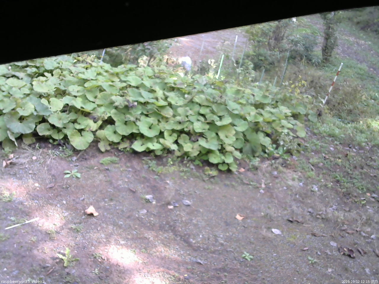 長野県菅平高原 ゆたか山荘 駐車場 2025/10/12 12:15