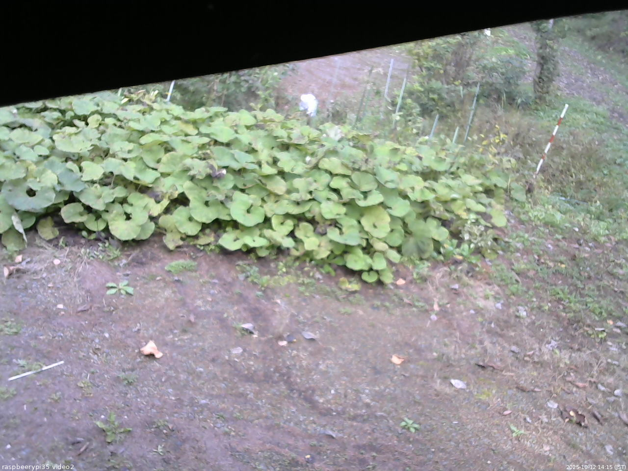 長野県菅平高原 ゆたか山荘 駐車場 2025/10/12 14:15