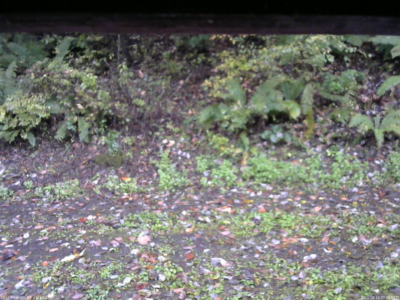 長野県菅平高原 ゆたか山荘 南側 2025/10/13 09:30