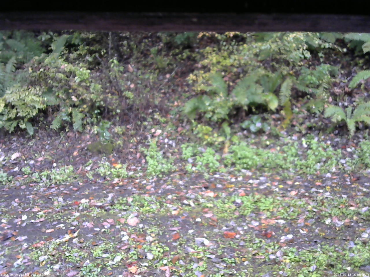 長野県菅平高原 ゆたか山荘 南側 2025/10/13 10:00