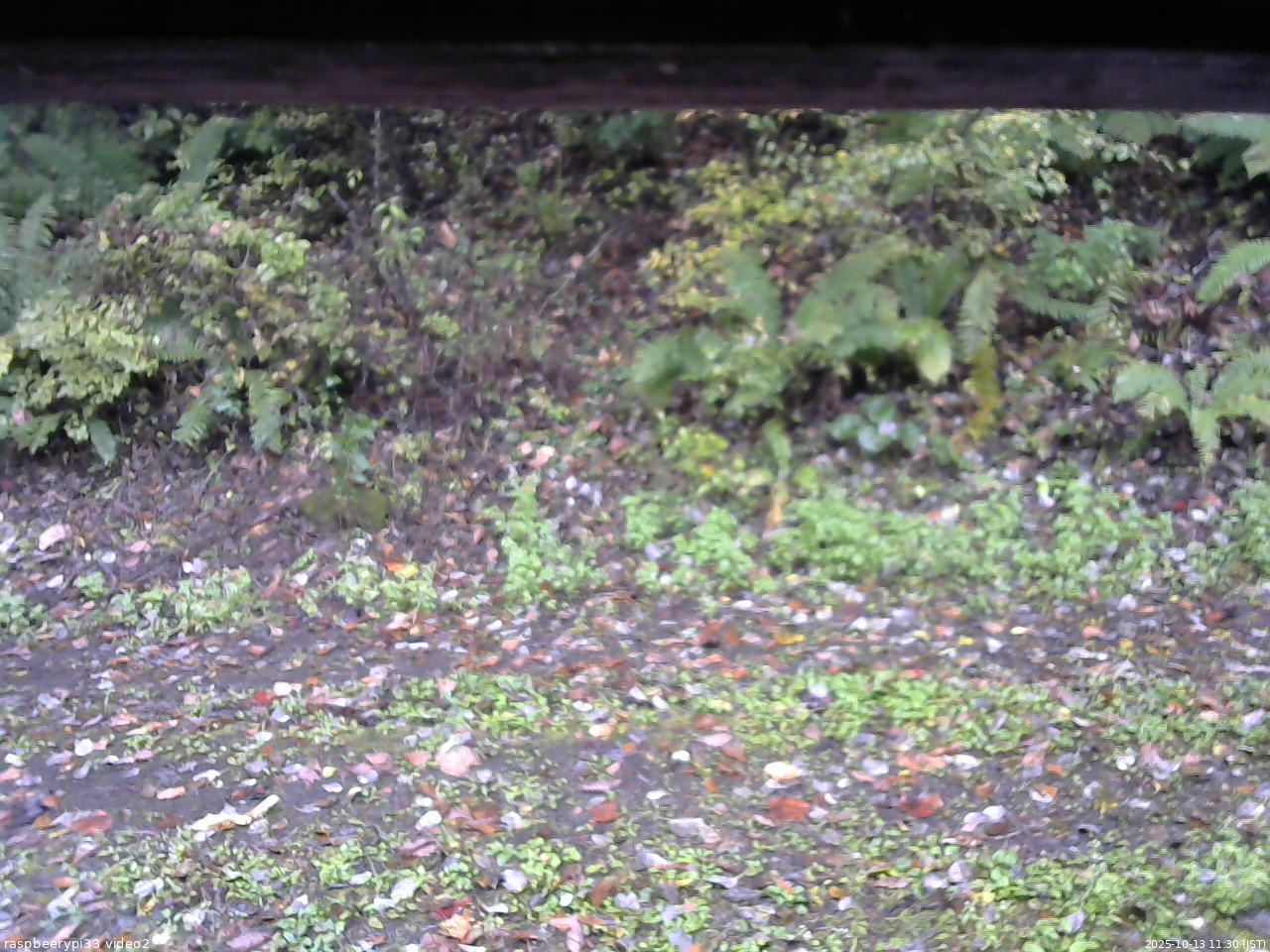 長野県菅平高原 ゆたか山荘 南側 2025/10/13 11:30