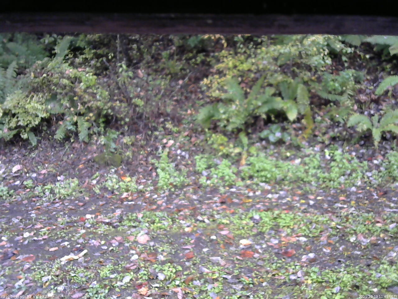 長野県菅平高原 ゆたか山荘 南側 2025/10/13 11:45