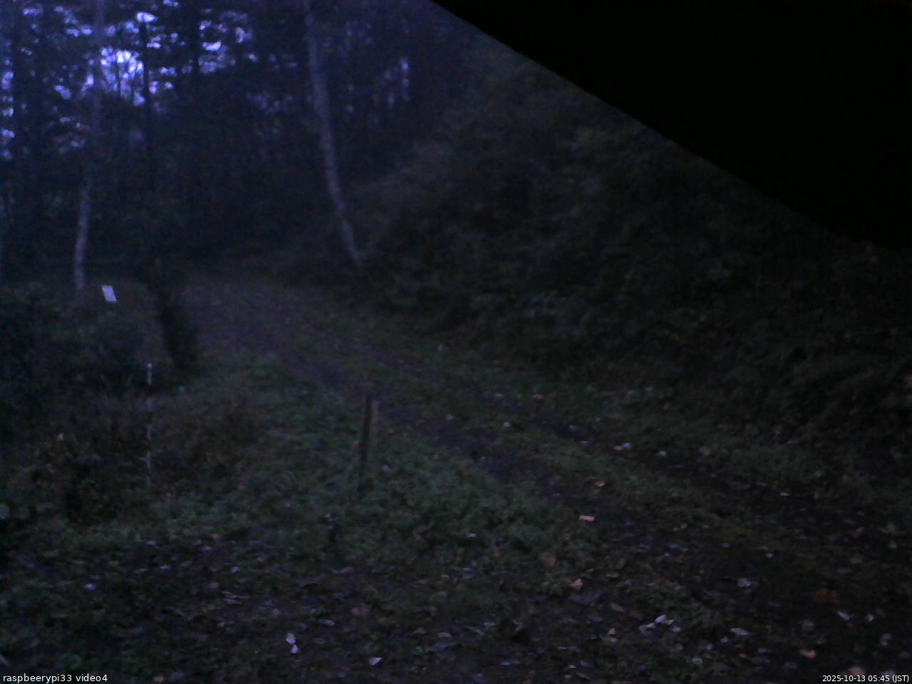 長野県菅平高原 ゆたか山荘 東側(坂下) 2025/10/13 05:45
