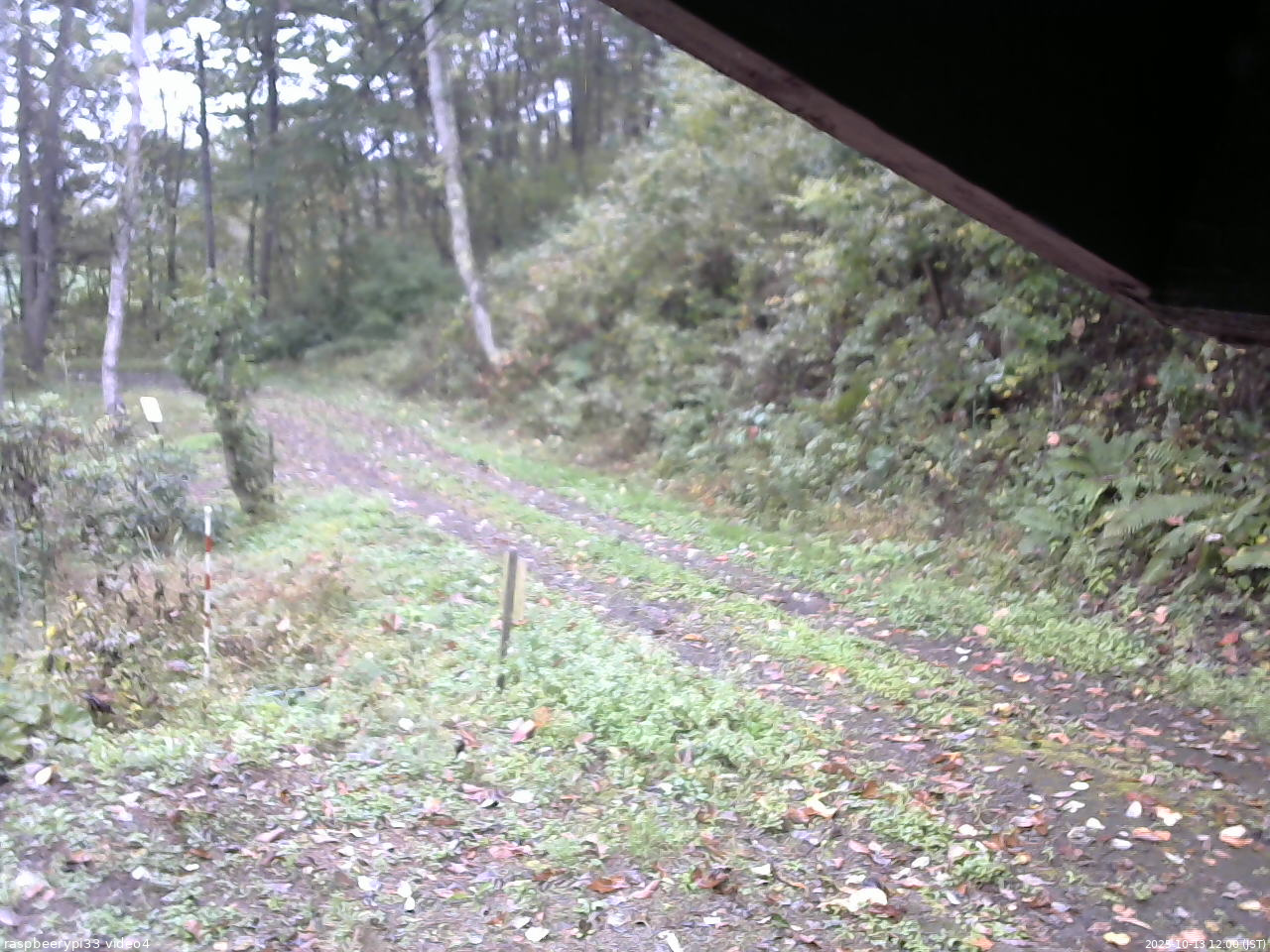 長野県菅平高原 ゆたか山荘 東側(坂下) 2025/10/13 12:00