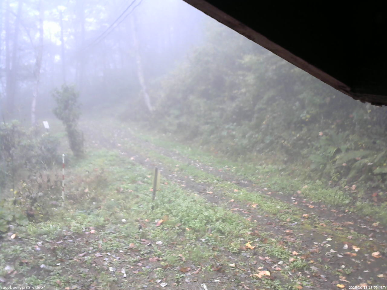 長野県菅平高原 ゆたか山荘 東側(坂下) 2025/10/13 13:00