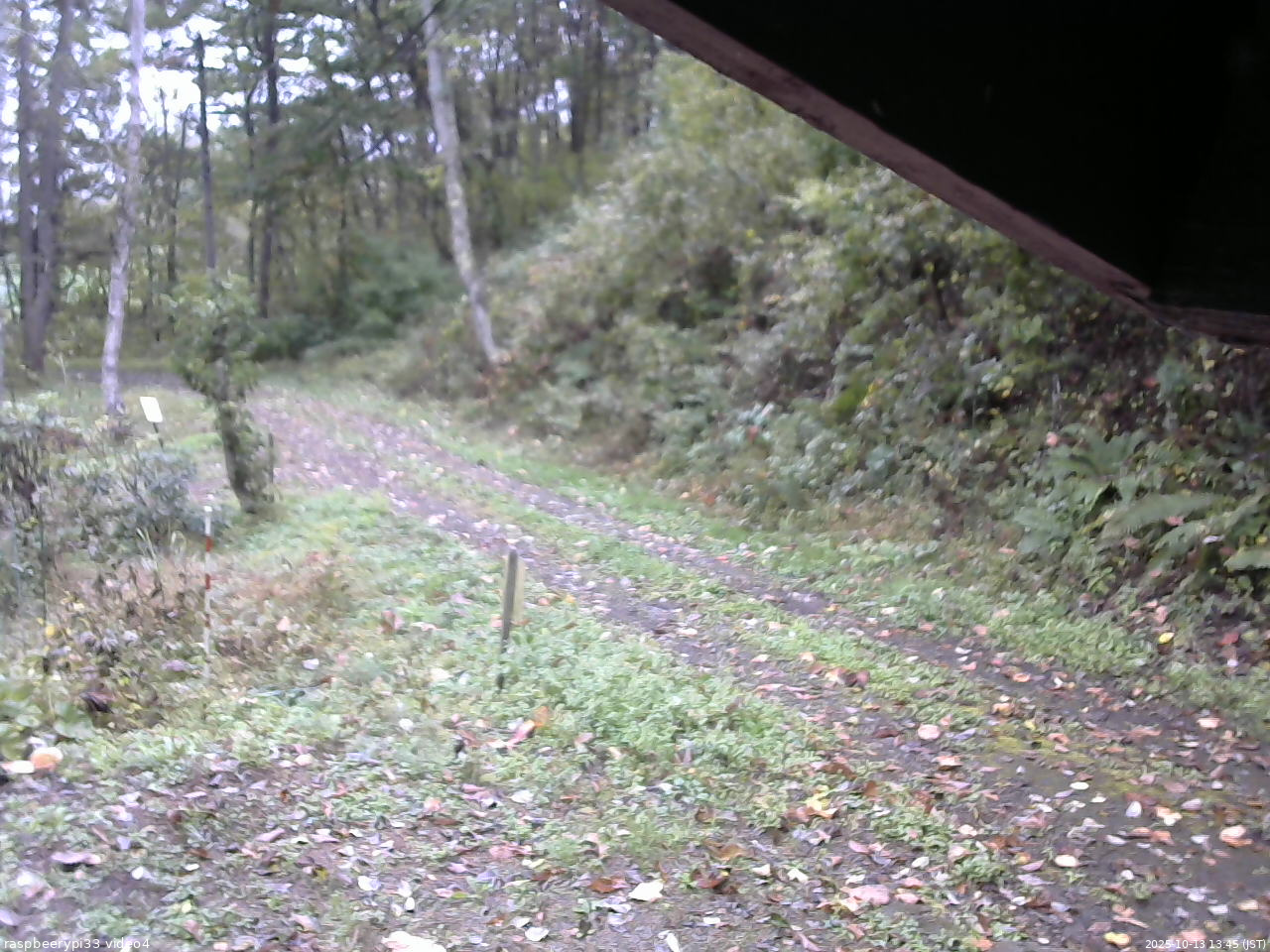 長野県菅平高原 ゆたか山荘 東側(坂下) 2025/10/13 13:45