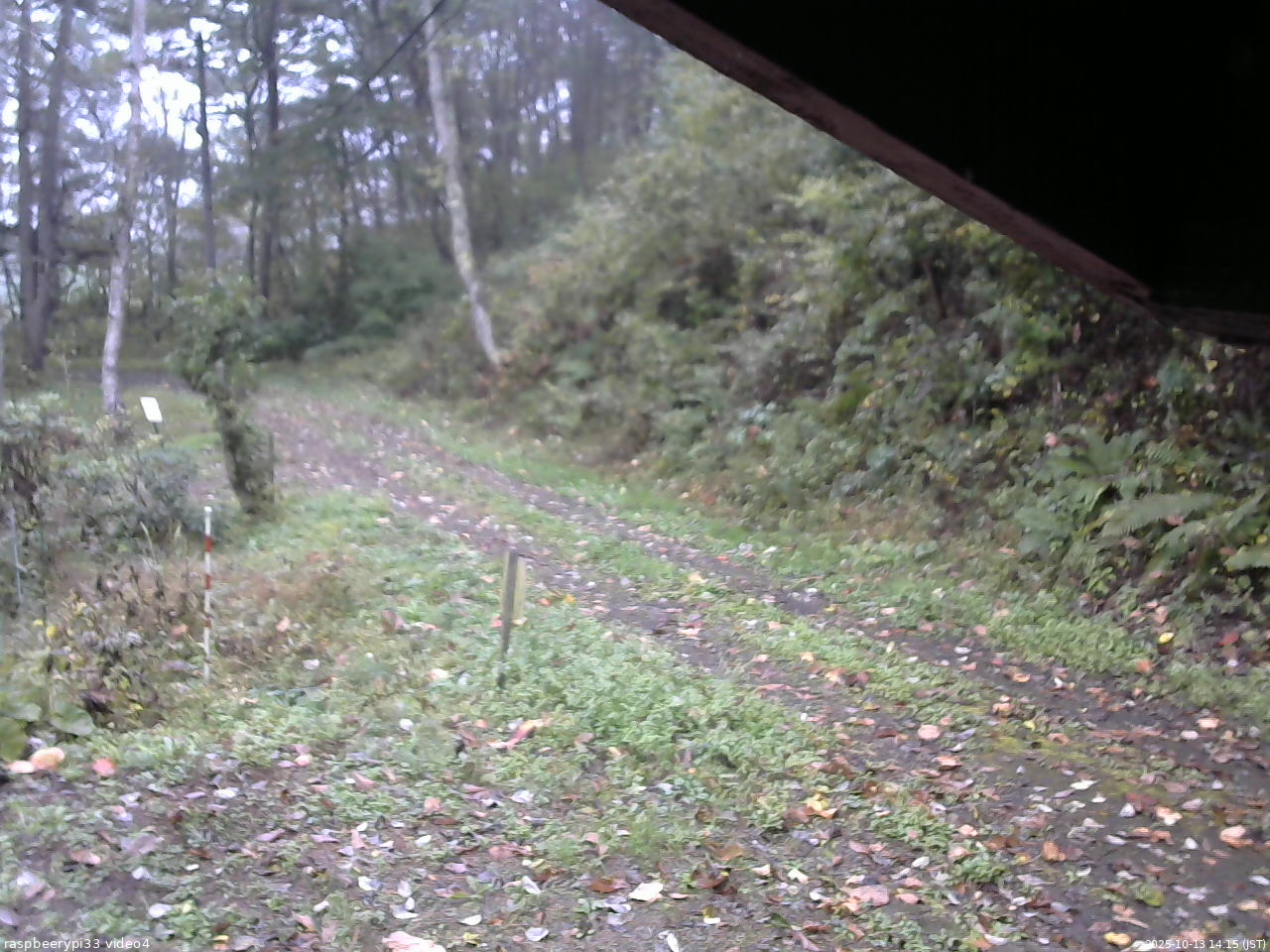 長野県菅平高原 ゆたか山荘 東側(坂下) 2025/10/13 14:15