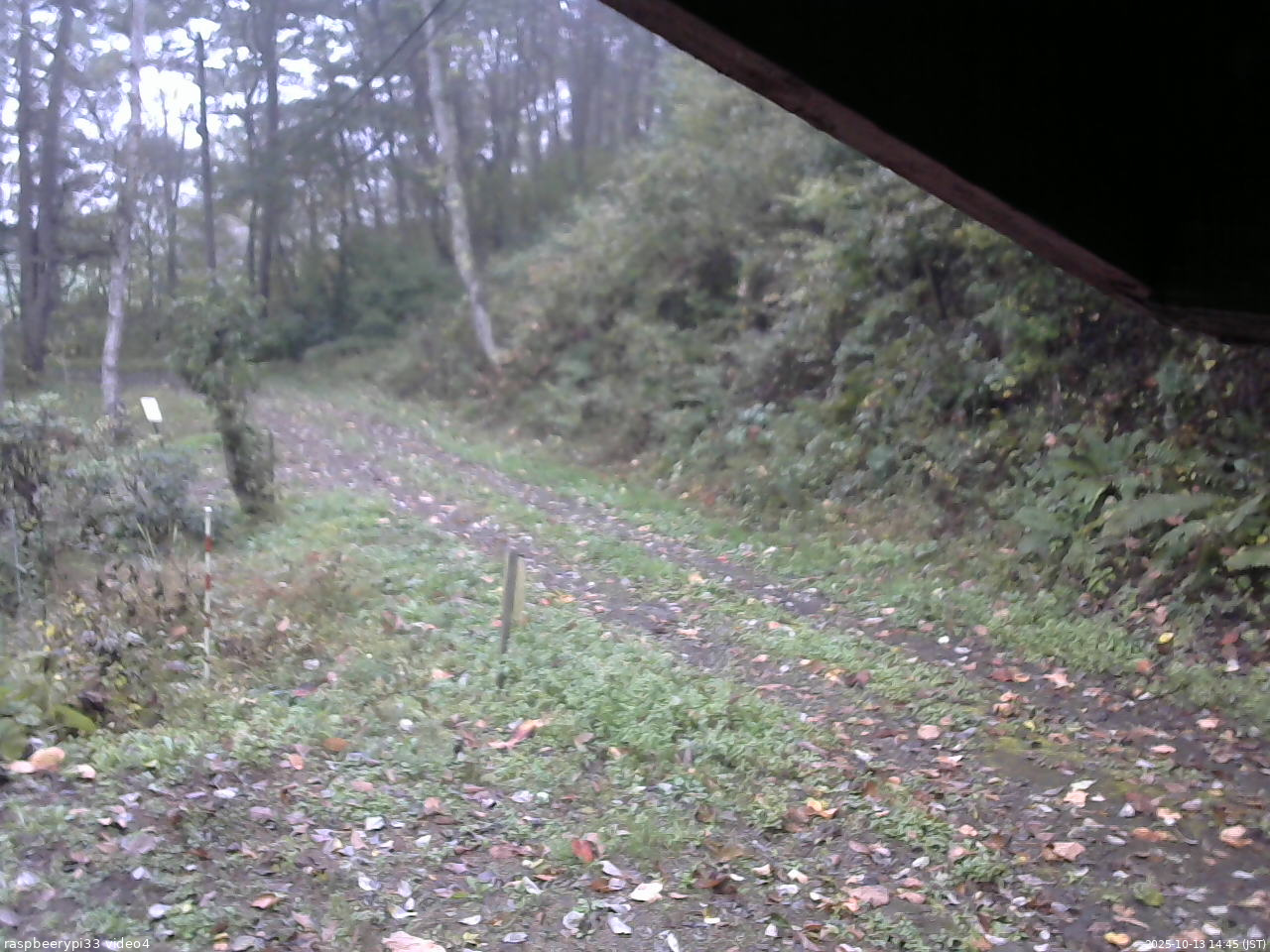 長野県菅平高原 ゆたか山荘 東側(坂下) 2025/10/13 14:45