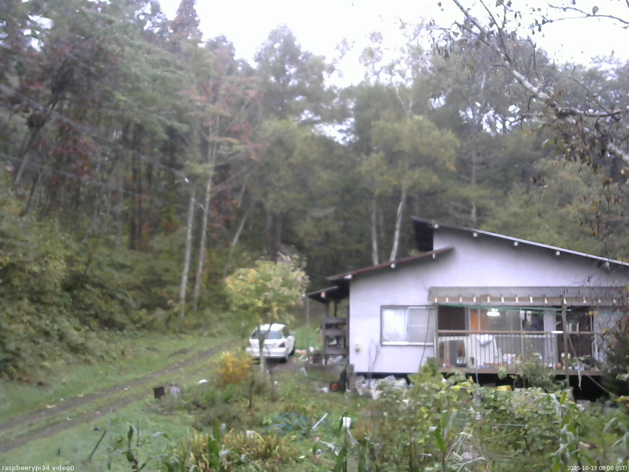 長野県菅平高原 ゆたか山荘 西側(坂上) 2025/10/13 08:00