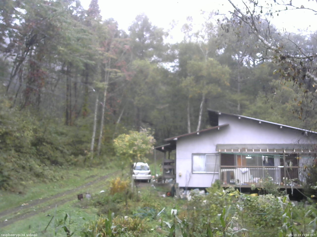 長野県菅平高原 ゆたか山荘 西側(坂上) 2025/10/13 11:00