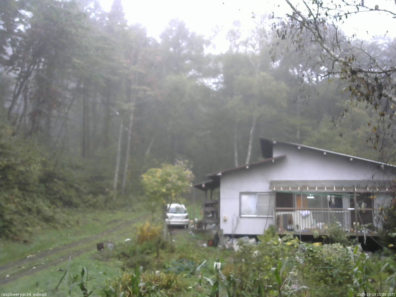 長野県菅平高原 ゆたか山荘 西側(坂上) 2025/10/13 11:30