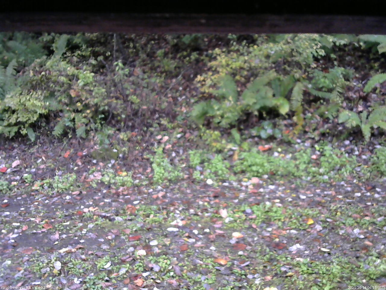 長野県菅平高原 ゆたか山荘 南側 2025/10/14 06:15