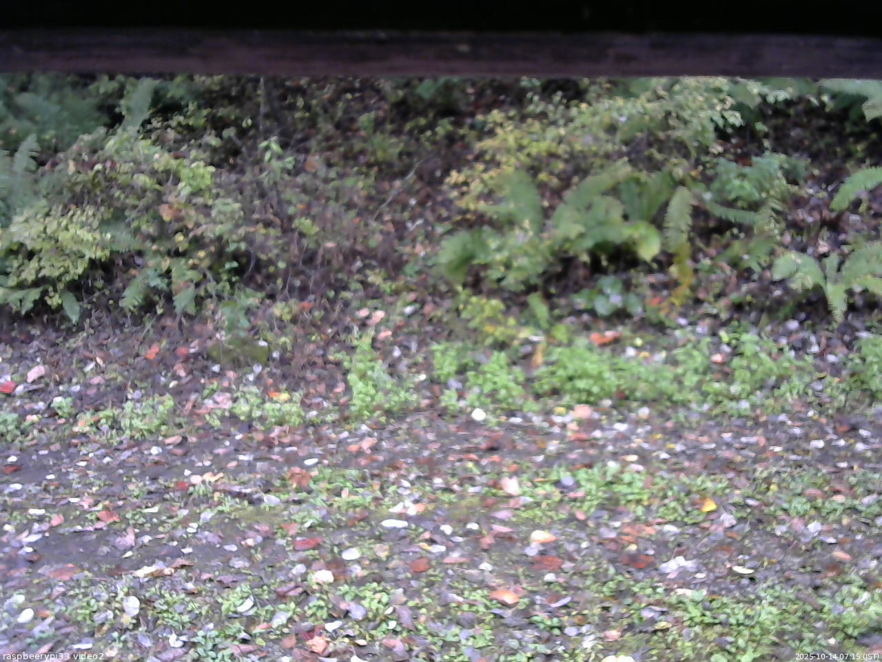 長野県菅平高原 ゆたか山荘 南側 2025/10/14 07:15