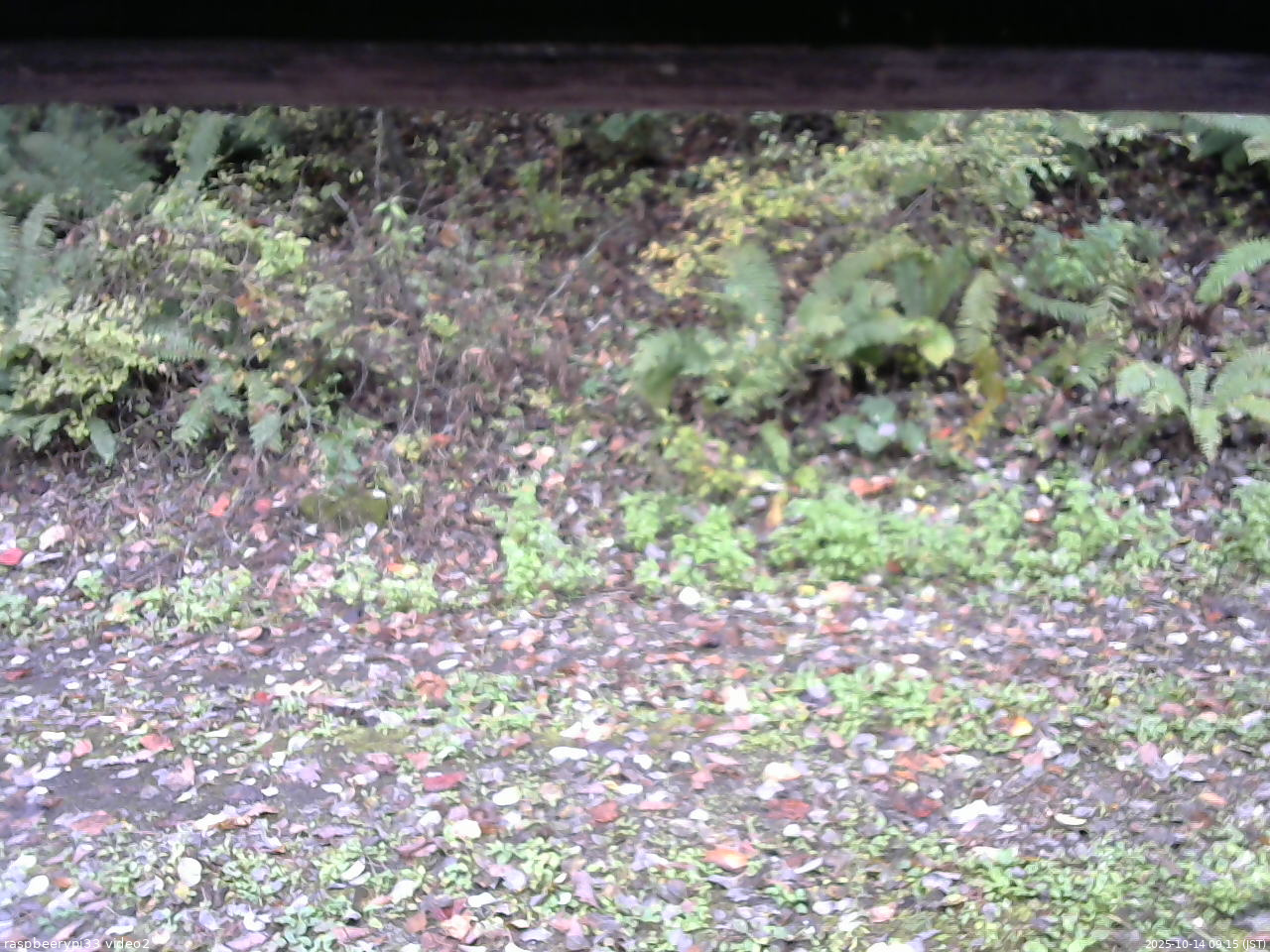 長野県菅平高原 ゆたか山荘 南側 2025/10/14 09:15