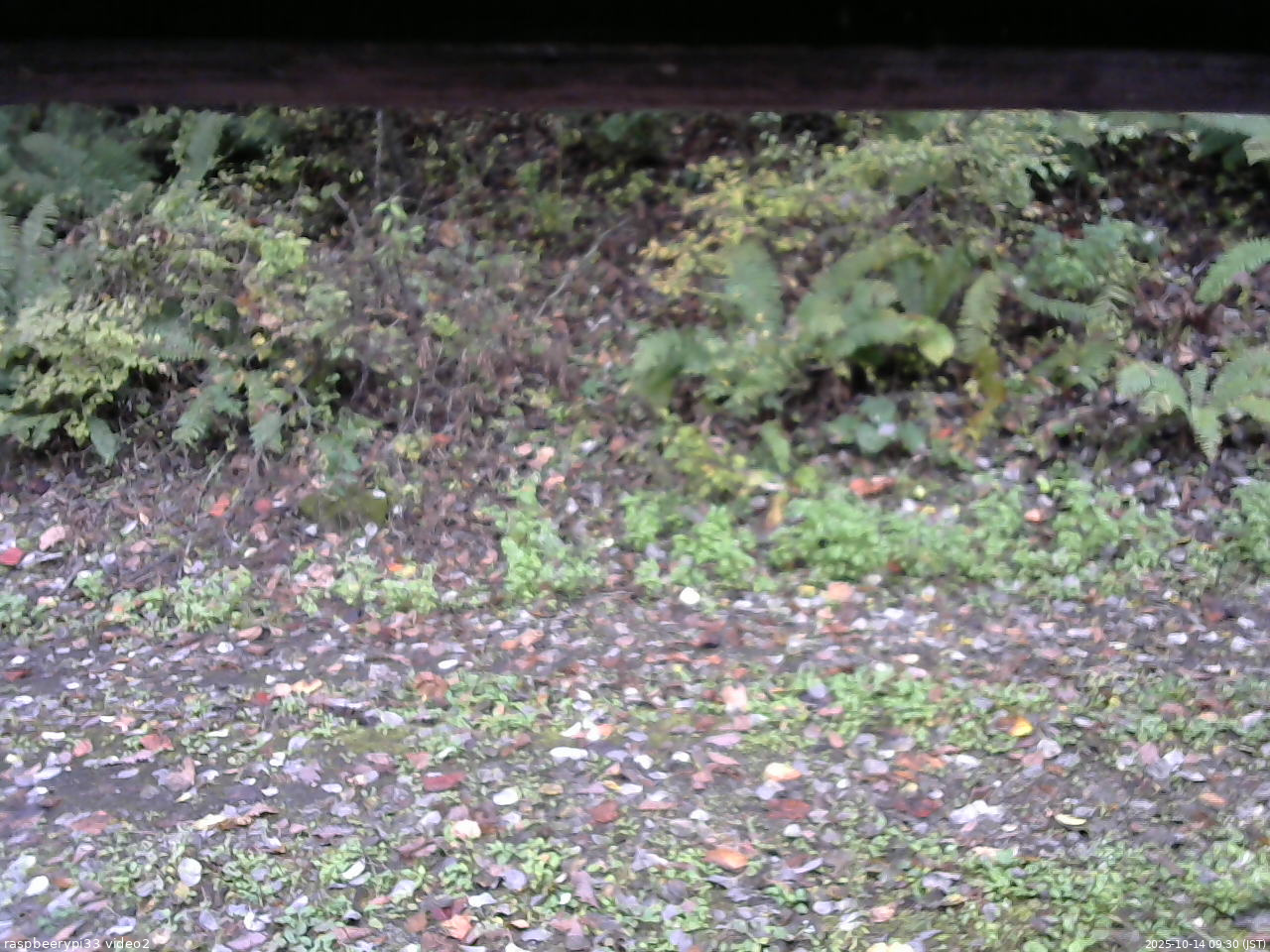 長野県菅平高原 ゆたか山荘 南側 2025/10/14 09:30
