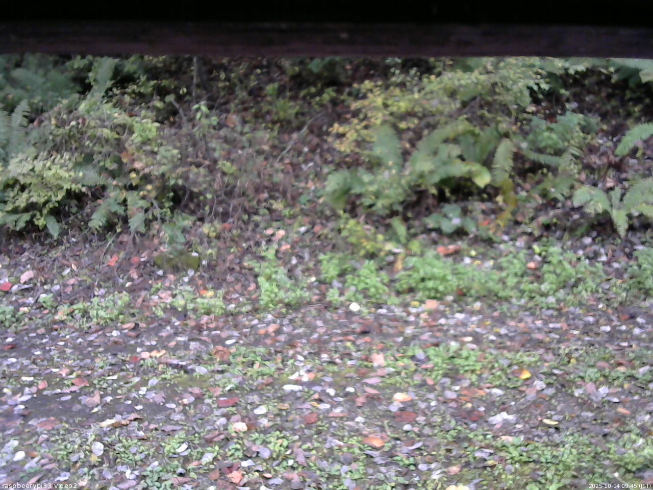 長野県菅平高原 ゆたか山荘 南側 2025/10/14 09:45