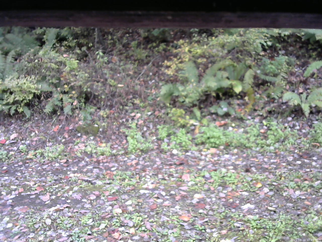 長野県菅平高原 ゆたか山荘 南側 2025/10/14 10:45