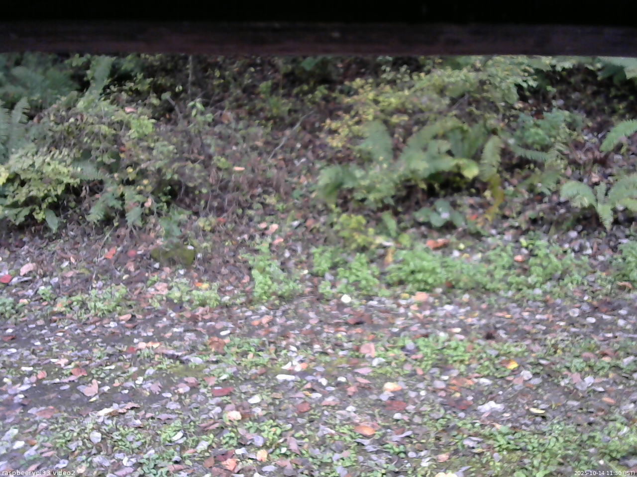 長野県菅平高原 ゆたか山荘 南側 2025/10/14 11:30