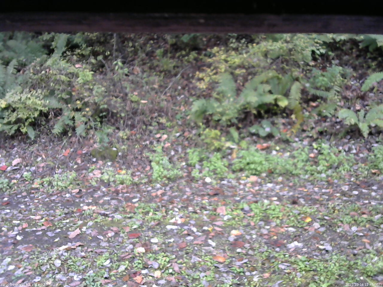長野県菅平高原 ゆたか山荘 南側 2025/10/14 12:45