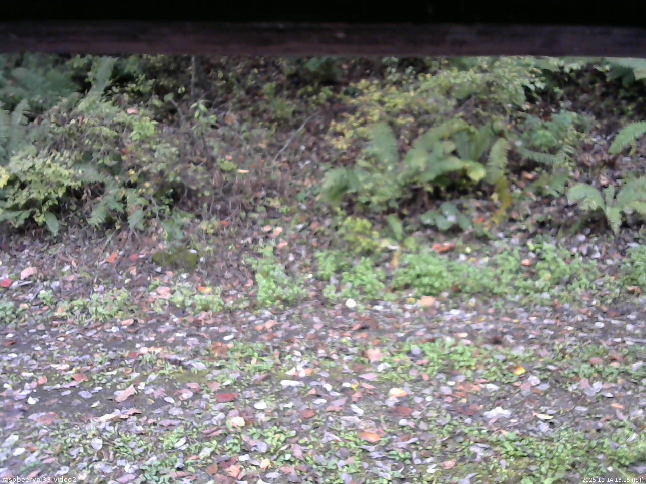 長野県菅平高原 ゆたか山荘 南側 2025/10/14 13:15