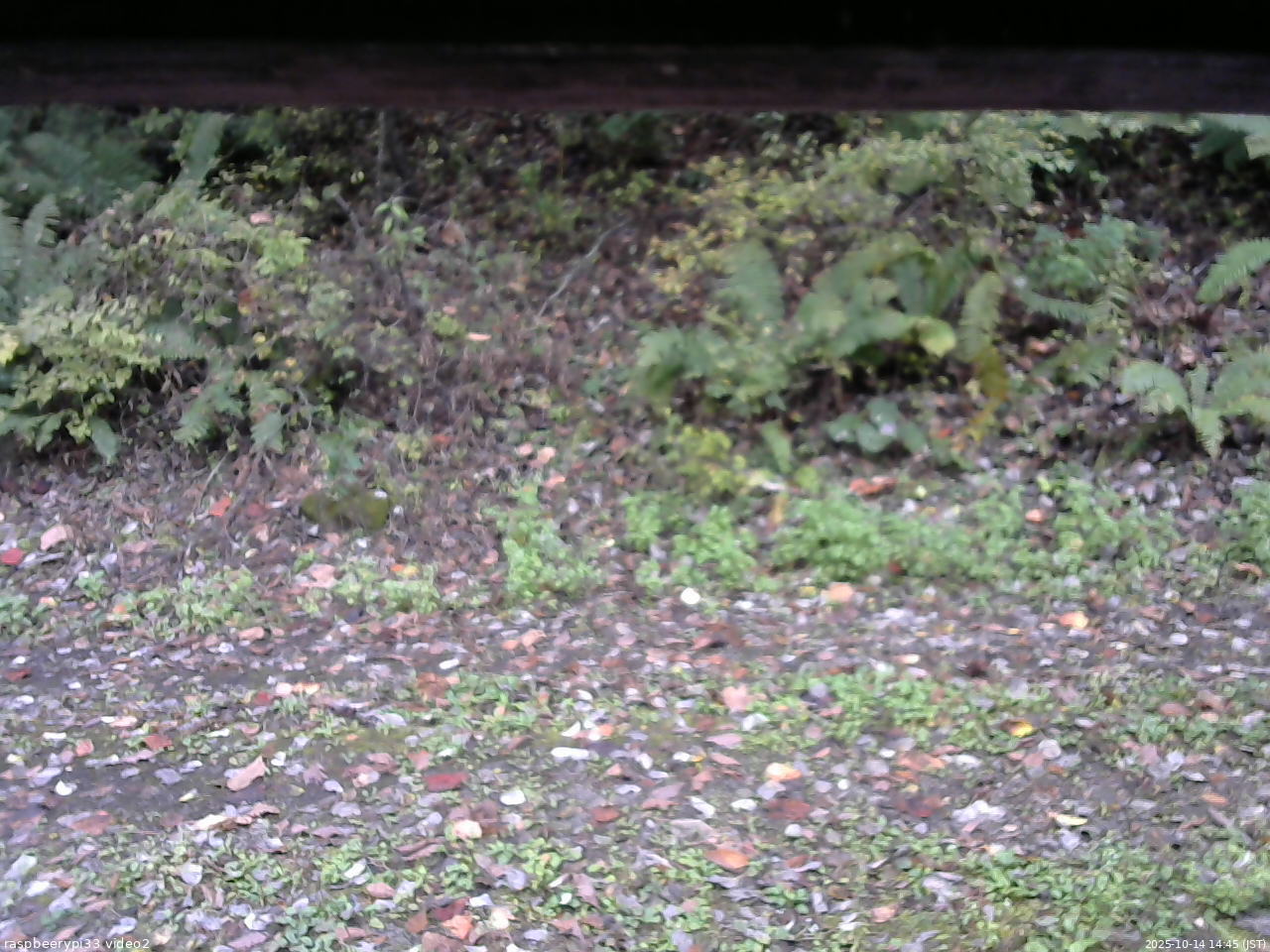 長野県菅平高原 ゆたか山荘 南側 2025/10/14 14:45