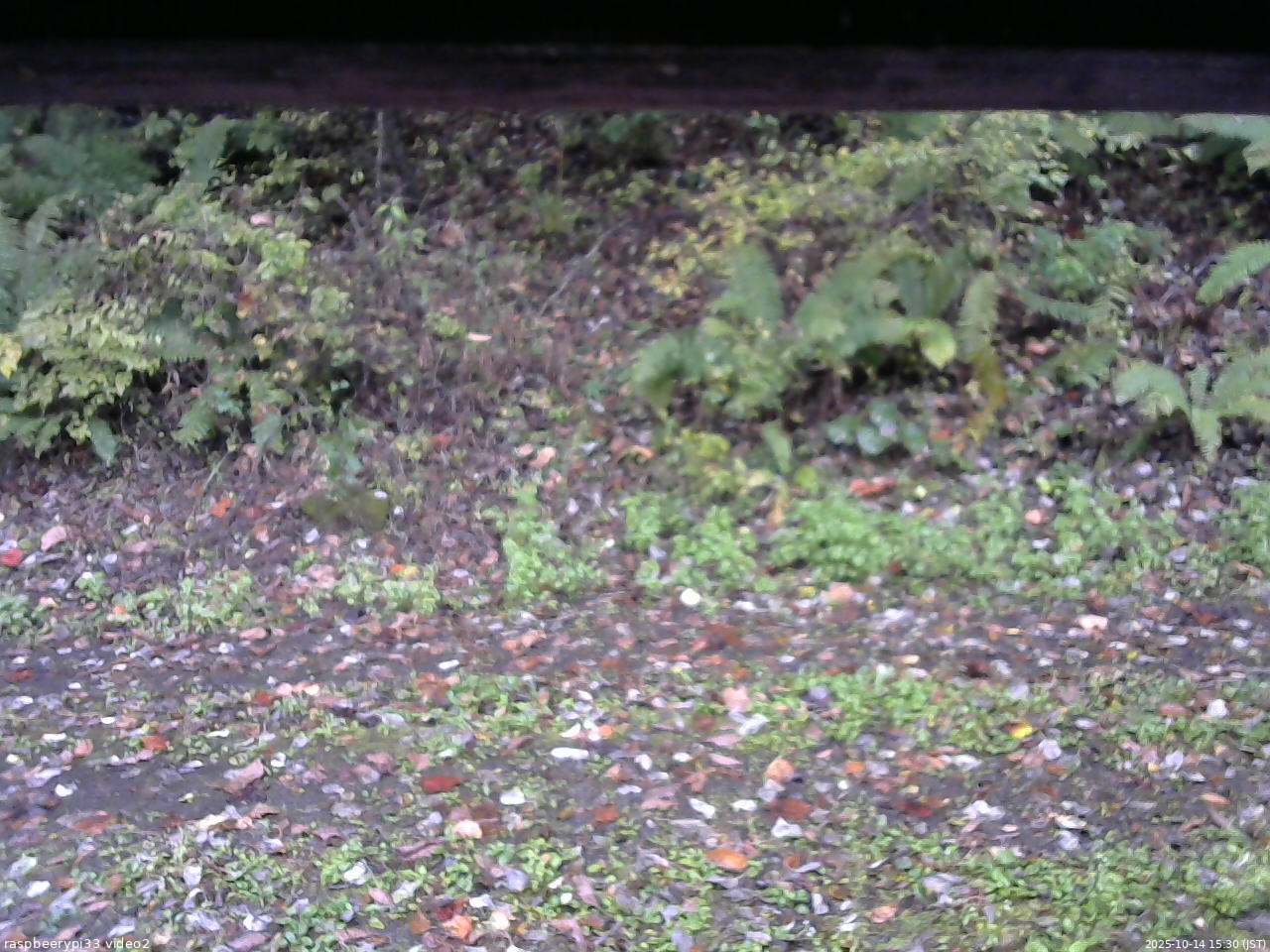長野県菅平高原 ゆたか山荘 南側 2025/10/14 15:30