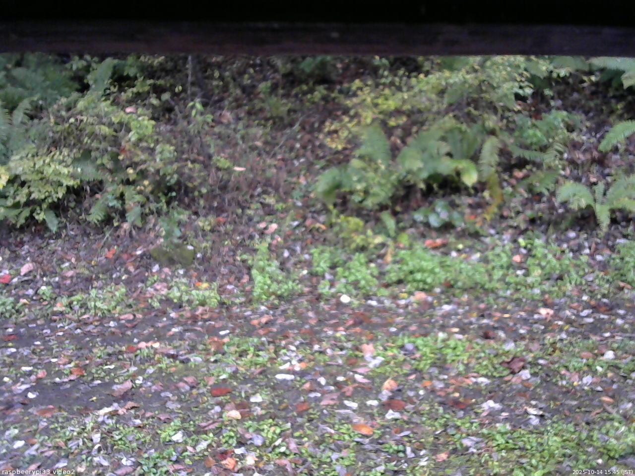 長野県菅平高原 ゆたか山荘 南側 2025/10/14 15:45