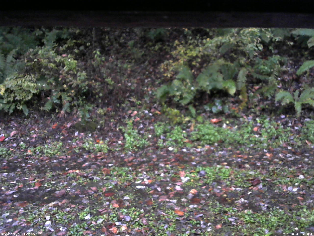 長野県菅平高原 ゆたか山荘 南側 2025/10/14 16:45