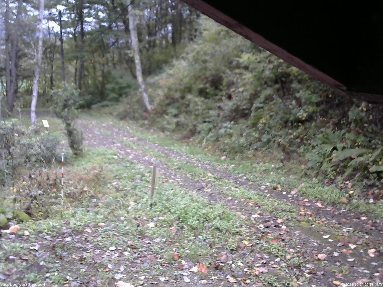 長野県菅平高原 ゆたか山荘 東側(坂下) 2025/10/14 07:15