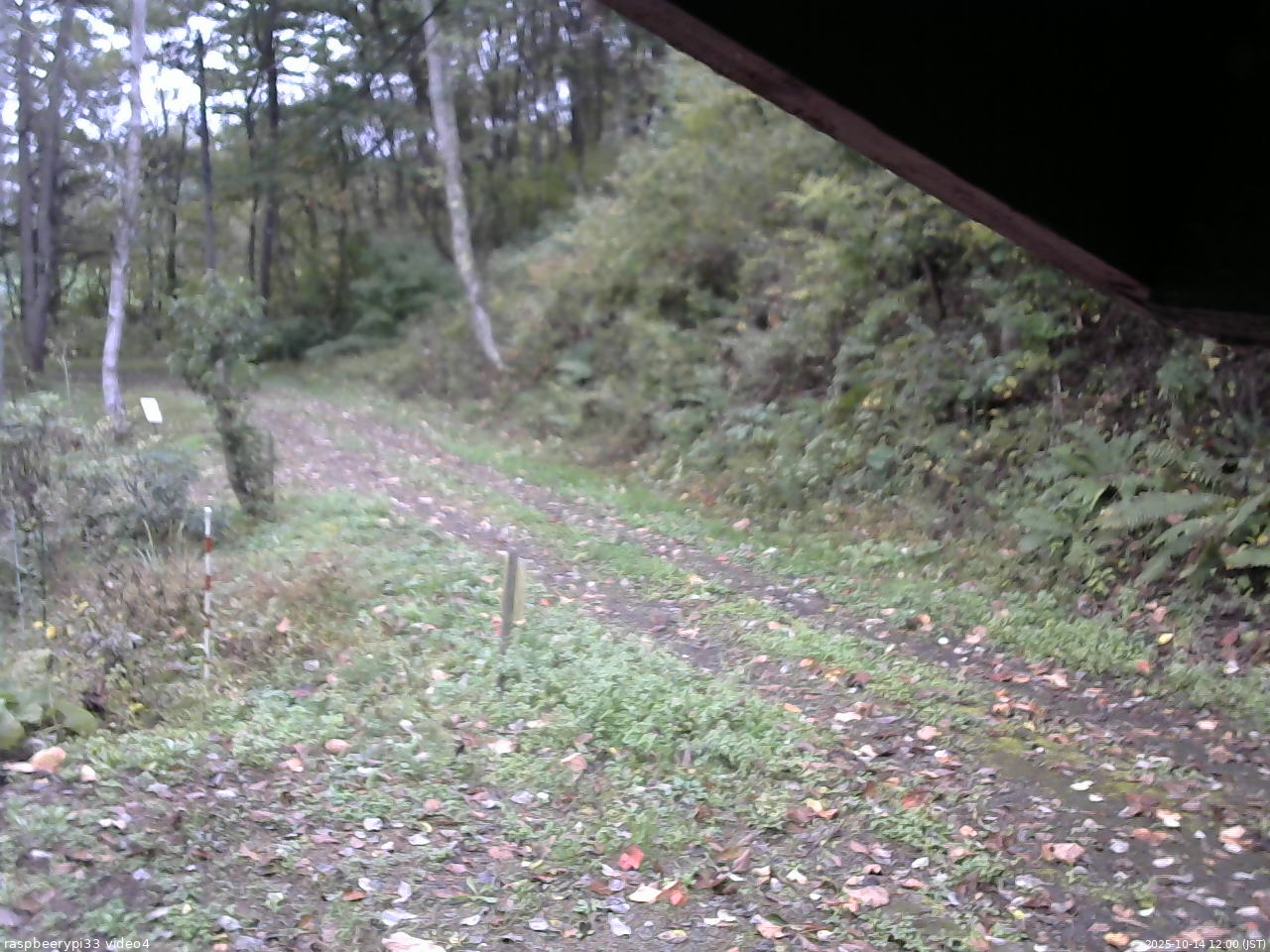 長野県菅平高原 ゆたか山荘 東側(坂下) 2025/10/14 12:00