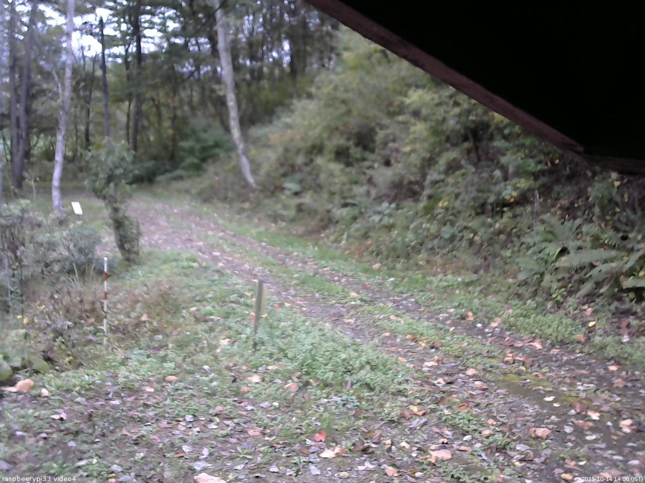 長野県菅平高原 ゆたか山荘 東側(坂下) 2025/10/14 14:00