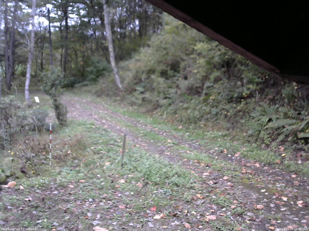 長野県菅平高原 ゆたか山荘 東側(坂下) 2025/10/14 14:15