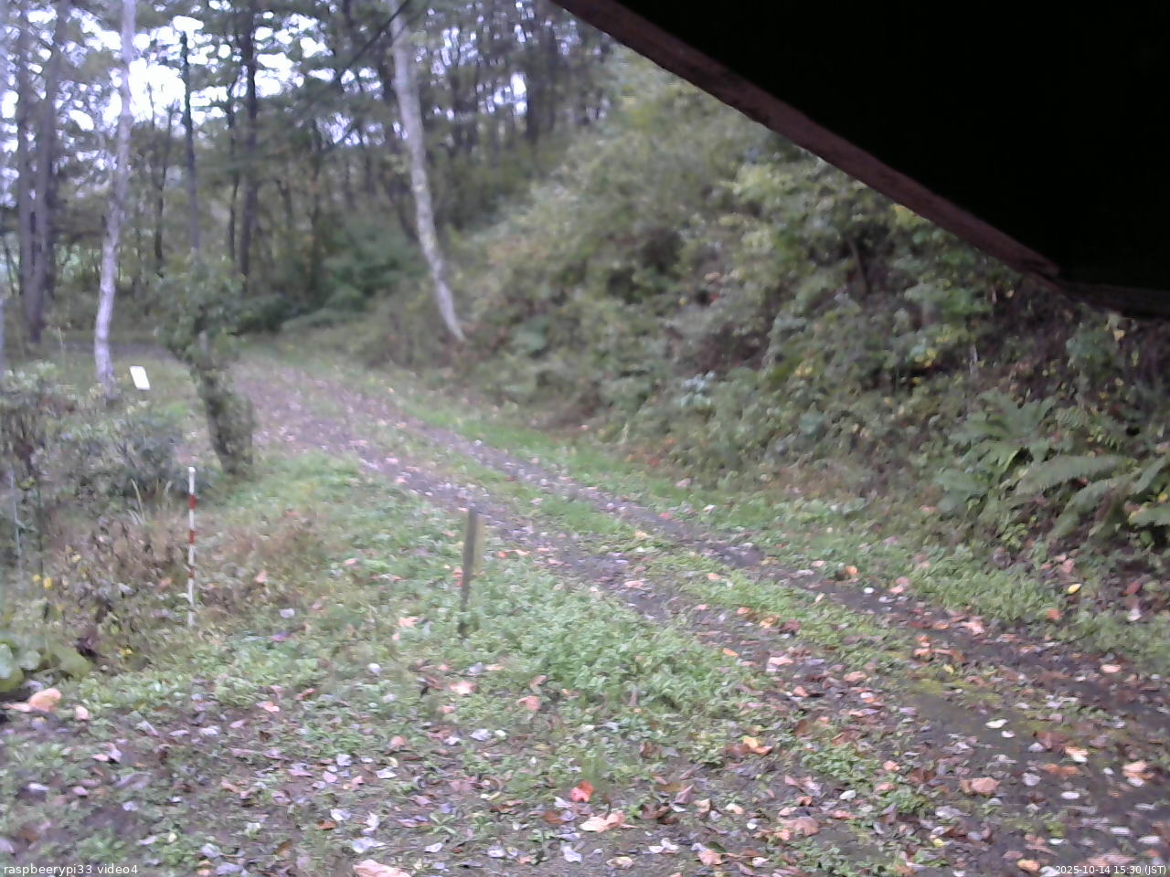 長野県菅平高原 ゆたか山荘 東側(坂下) 2025/10/14 15:30