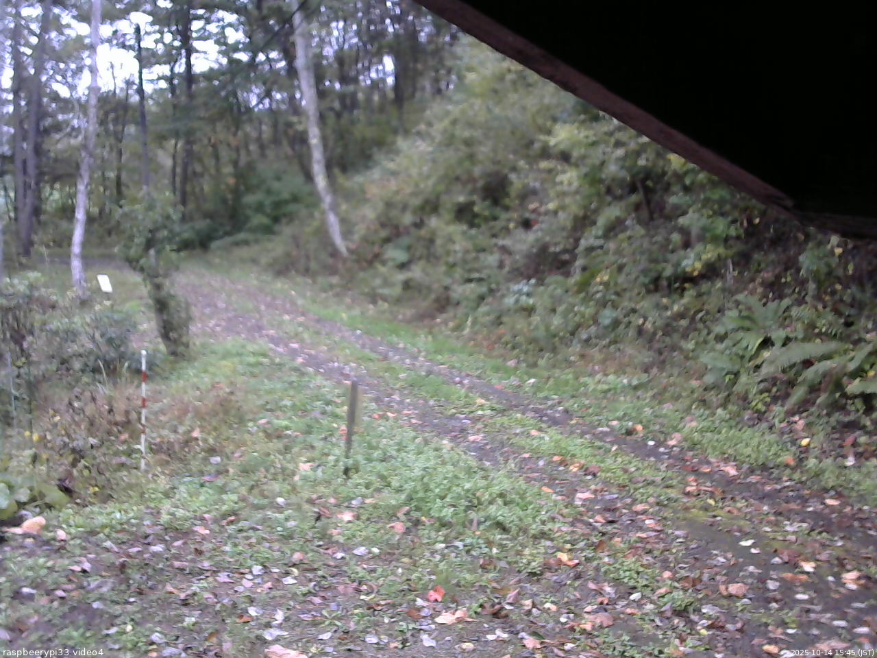 長野県菅平高原 ゆたか山荘 東側(坂下) 2025/10/14 15:45
