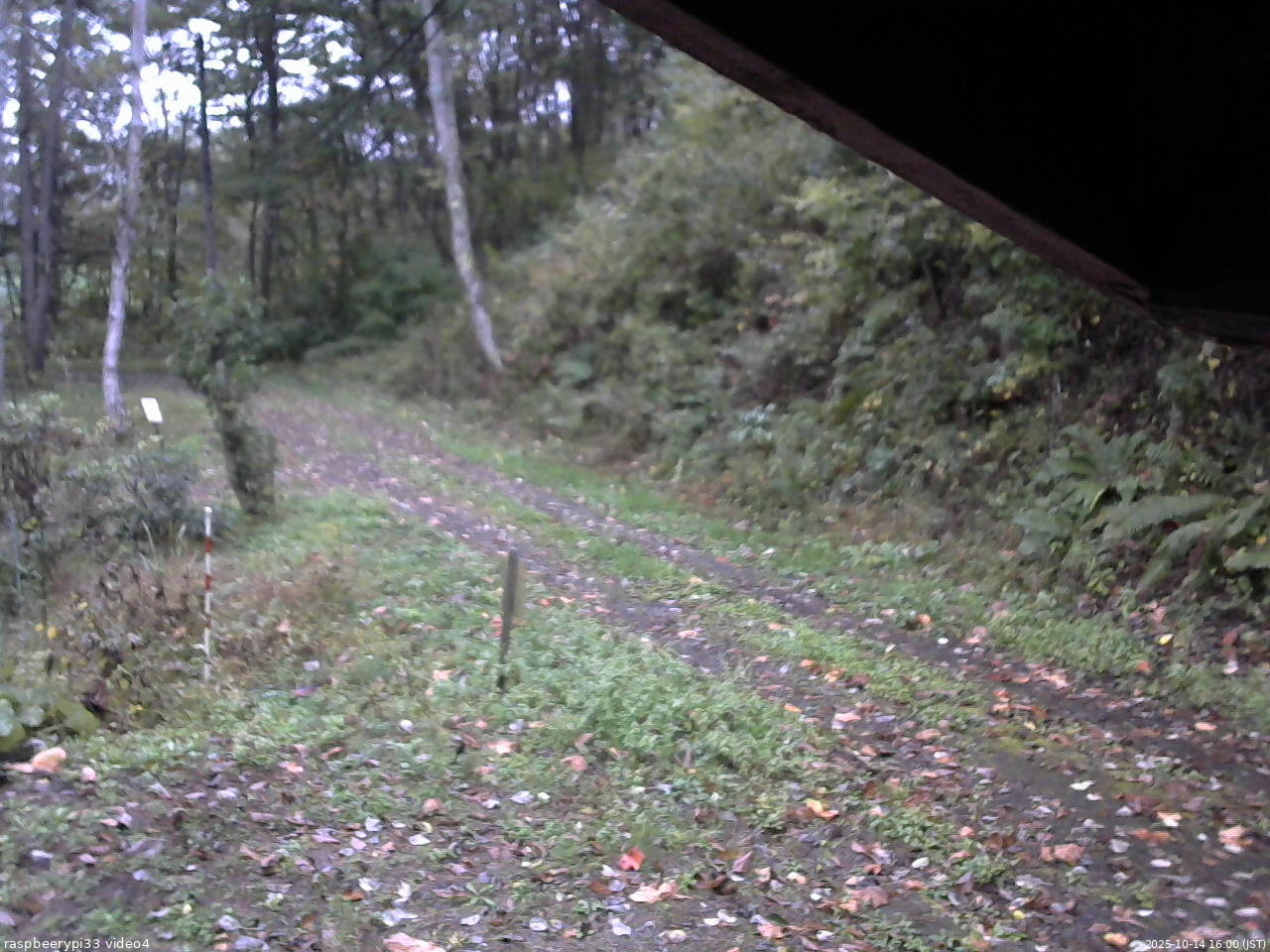 長野県菅平高原 ゆたか山荘 東側(坂下) 2025/10/14 16:00