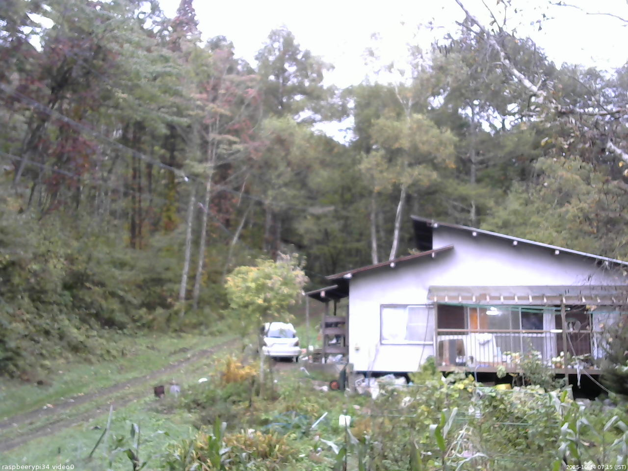 長野県菅平高原 ゆたか山荘 西側(坂上) 2025/10/14 07:15