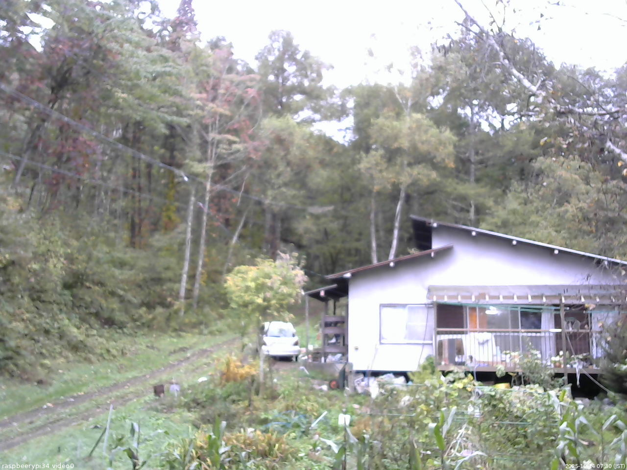長野県菅平高原 ゆたか山荘 西側(坂上) 2025/10/14 07:30