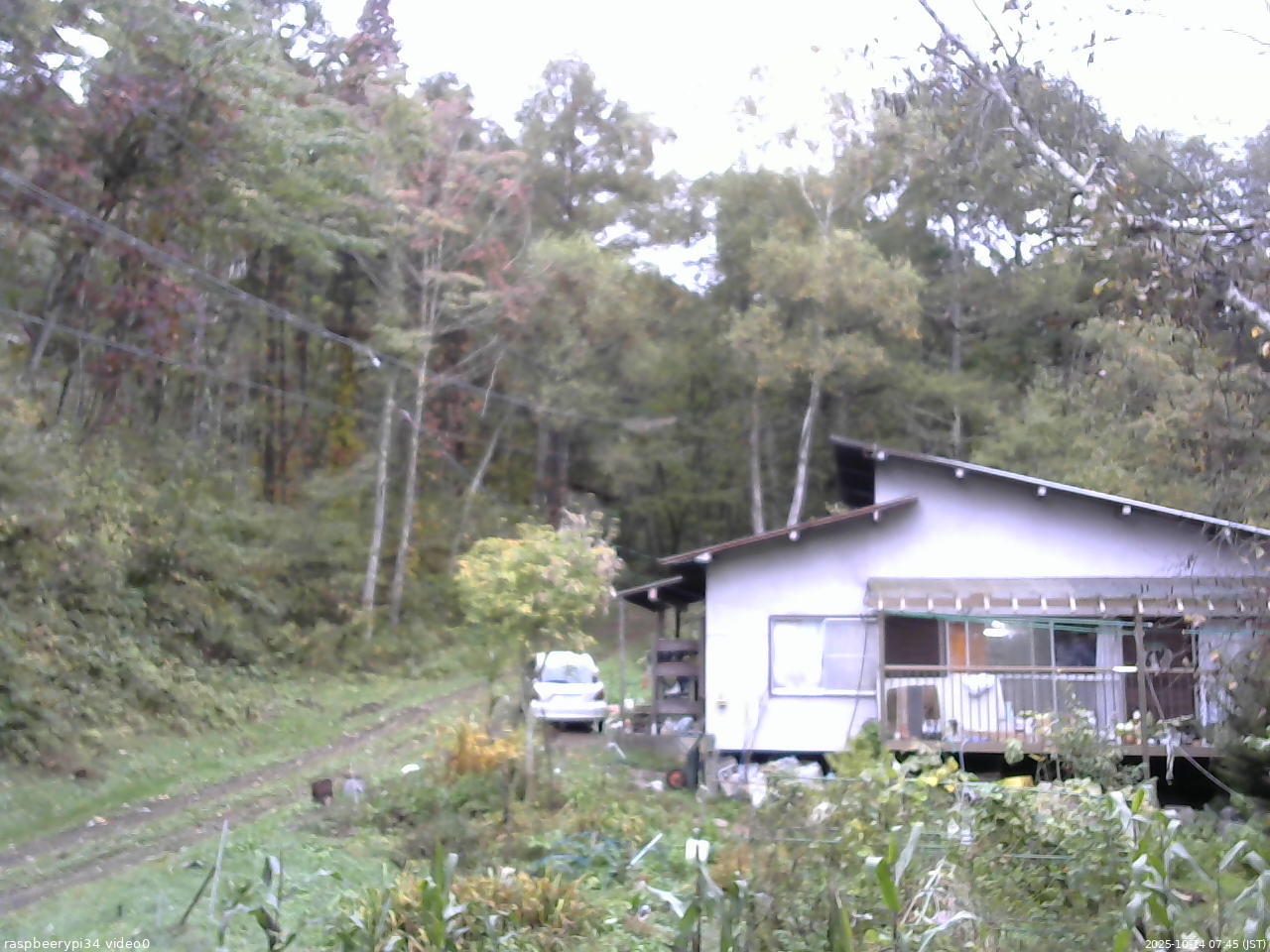 長野県菅平高原 ゆたか山荘 西側(坂上) 2025/10/14 07:45