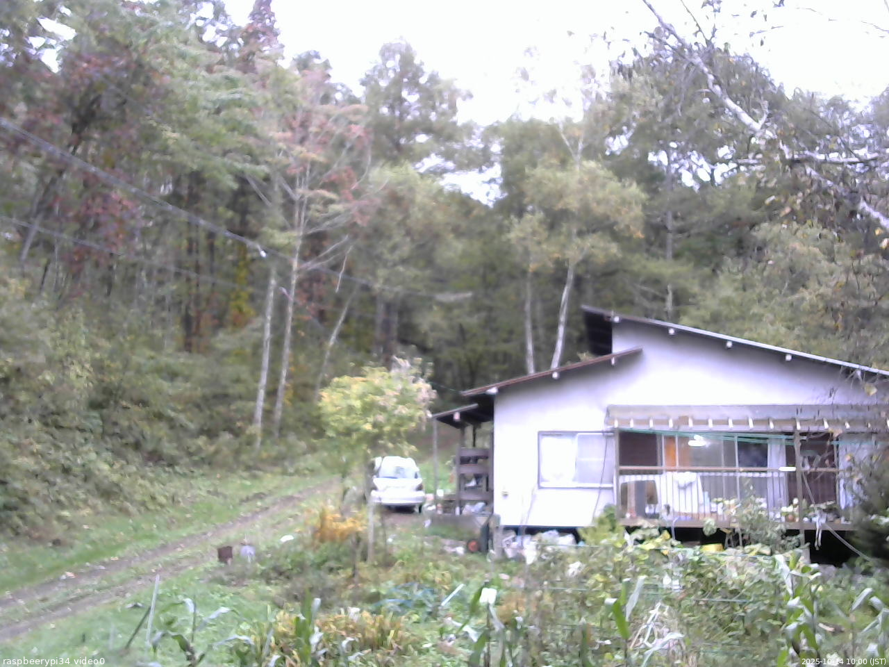 長野県菅平高原 ゆたか山荘 西側(坂上) 2025/10/14 10:00