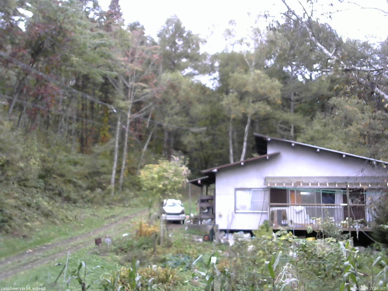 長野県菅平高原 ゆたか山荘 西側(坂上) 2025/10/14 11:30