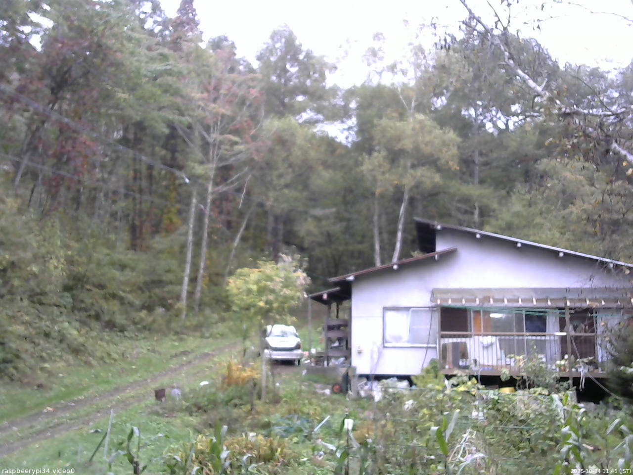 長野県菅平高原 ゆたか山荘 西側(坂上) 2025/10/14 11:45
