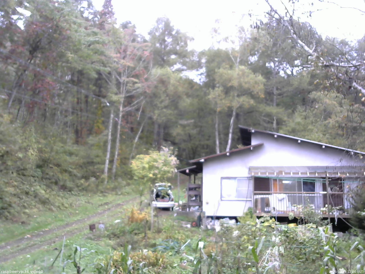 長野県菅平高原 ゆたか山荘 西側(坂上) 2025/10/14 12:00
