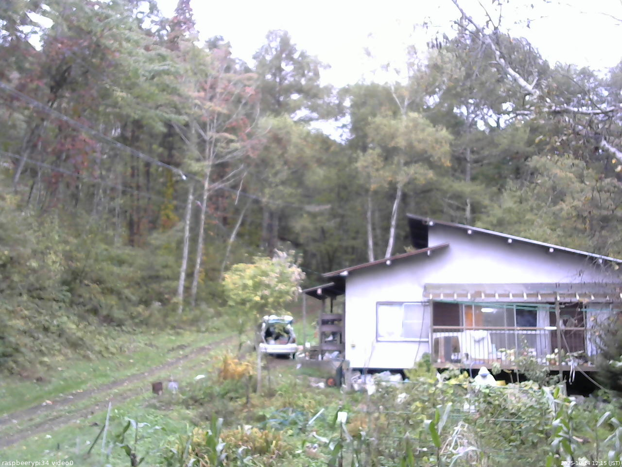 長野県菅平高原 ゆたか山荘 西側(坂上) 2025/10/14 12:15